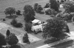 019-qlu-31