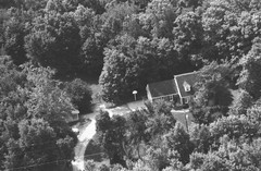 020-qlu-19