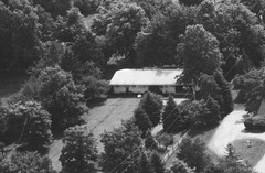 020-qlu-29