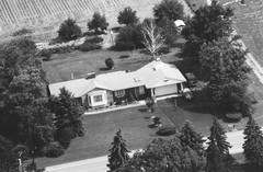 022-qlu-21