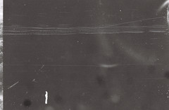027-qlu-37