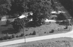 036-qlu-08