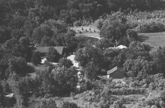 036-qlu-17