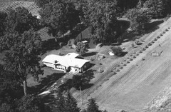 036-qlu-19