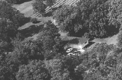 036-qlu-20
