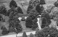 036-qlu-21