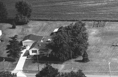 036-qlu-35