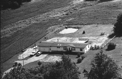 037-qlu-19