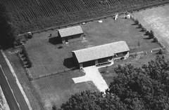 038-qlu-29