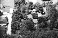 043-qlu-19