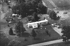 043-qlu-36