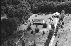 045-qlu-19