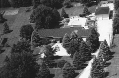 046-qlu-29