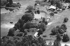 049-qlu-19