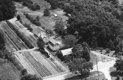 103-qlu-24