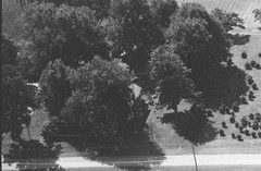 109-qlu-12