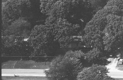 111-qlu-11