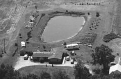 112-qlu-29