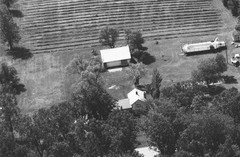 112-qlu-32