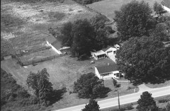 113-qlu-20