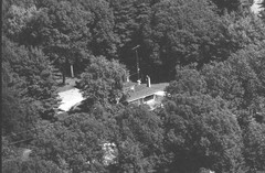 113-qlu-29