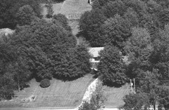 113-qlu-36