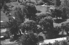 115-qlu-10