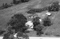 116-qlu-16
