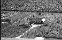 117-qlu-21