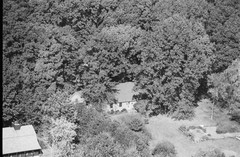 011-clu-31