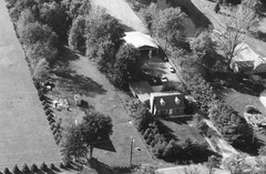 020-clu-19