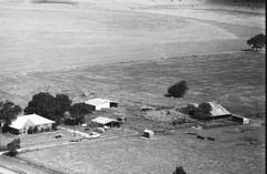 004-hcoo-06