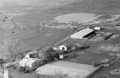 054-alm-17