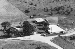 005-cster-03