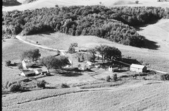 017-ebu-33